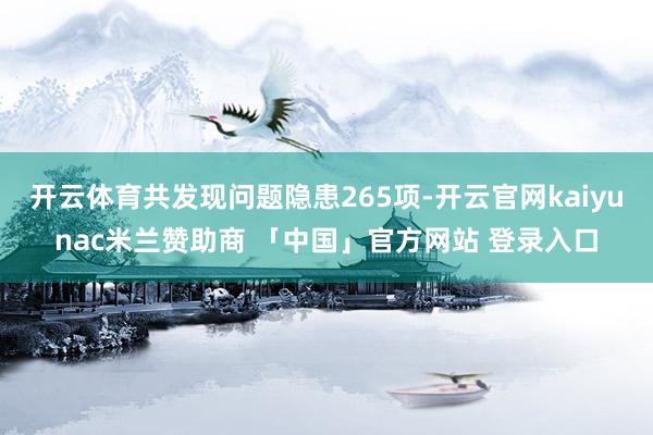 开云体育共发现问题隐患265项-开云官网kaiyunac米兰赞助商 「中国」官方网站 登录入口