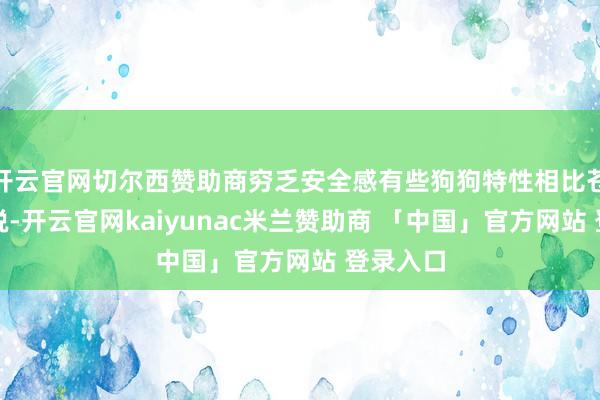 开云官网切尔西赞助商穷乏安全感有些狗狗特性相比苍老、明锐-开云官网kaiyunac米兰赞助商 「中国」官方网站 登录入口