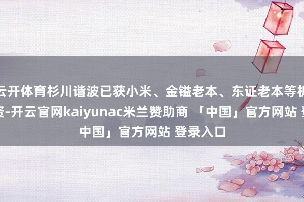 云开体育杉川谐波已获小米、金镒老本、东证老本等机构的投资-开云官网kaiyunac米兰赞助商 「中国」官方网站 登录入口